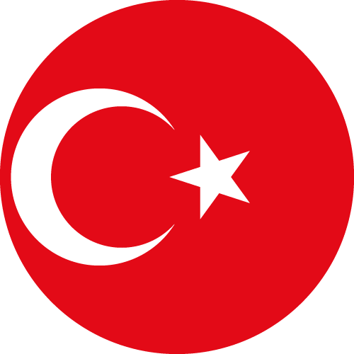 Turkish language